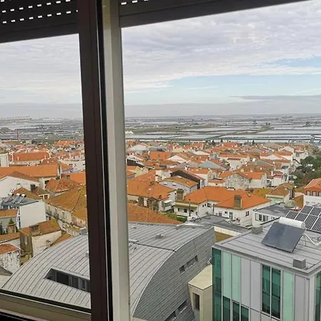 Aveiro's 360º
